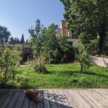 Wohnung Mit Terrasse Und Eigenem Parkplatz 나프부르크 외부 사진